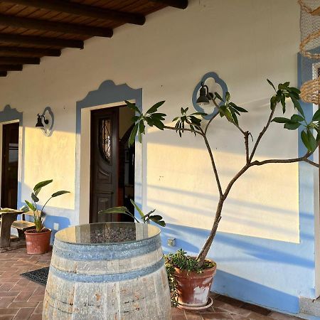 Vila Verde de Ficalho Aproveite O Sabor Do Alentejo 빌라 외부 사진
