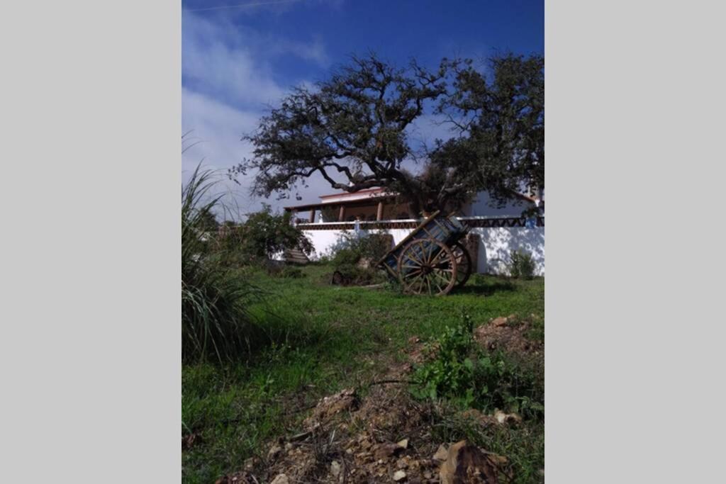 Vila Verde de Ficalho Aproveite O Sabor Do Alentejo 빌라 외부 사진