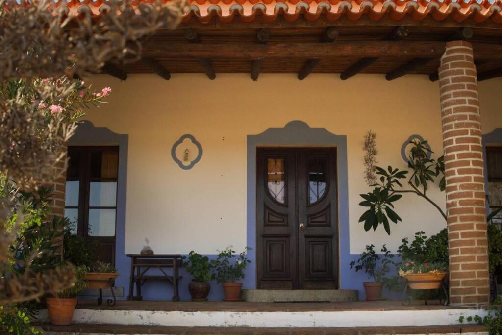Vila Verde de Ficalho Aproveite O Sabor Do Alentejo 빌라 외부 사진