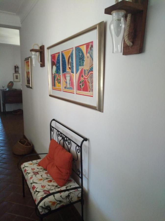 Vila Verde de Ficalho Aproveite O Sabor Do Alentejo 빌라 외부 사진
