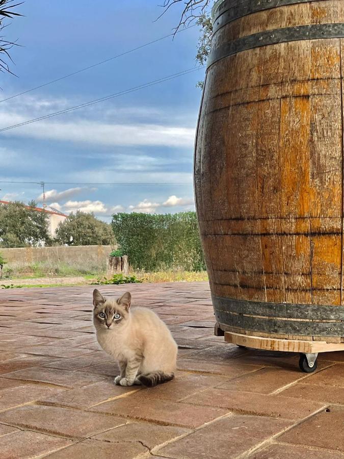 Vila Verde de Ficalho Aproveite O Sabor Do Alentejo 빌라 외부 사진